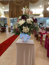 Cargar imagen en el visor de la galería, •arch •ceiling  •wall •covers
