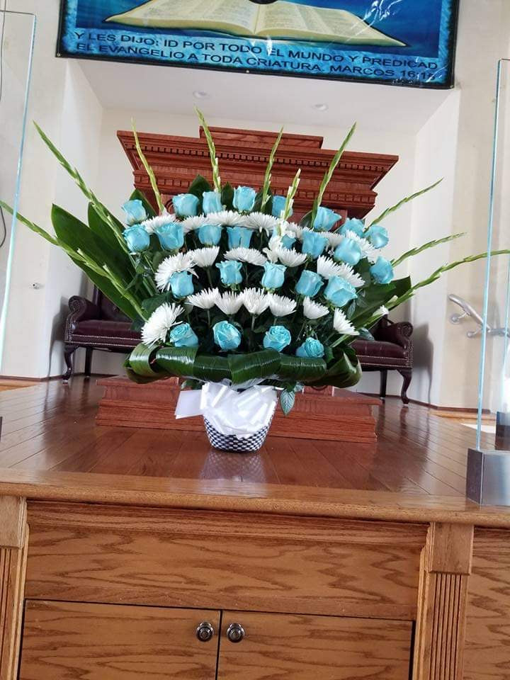Turquesa roses